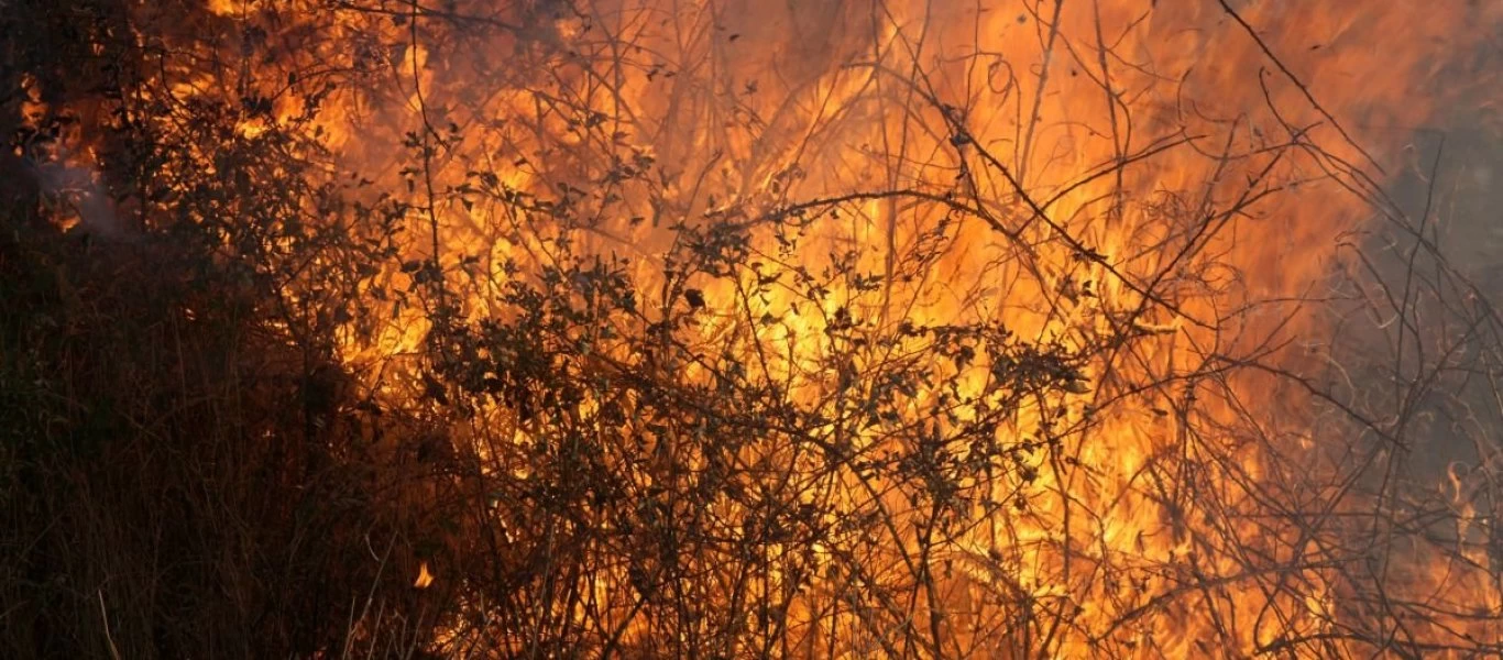 Μεγάλη πυρκαγιά σε φυσικό πάρκο στην Καταλονία - Εκκενώθηκαν κατοικίες